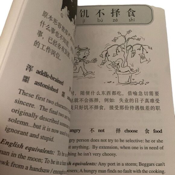 BOOK Fun With Chinese Idioms Vol 4 Ching Yee John Smithback - Picture 6 of 10